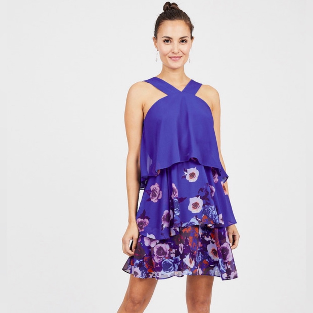 Badgley Mischka Popover Ruffle Mini Dress Blue Floral Size 2 Sleeveless Sundress - Picture 14 of 14